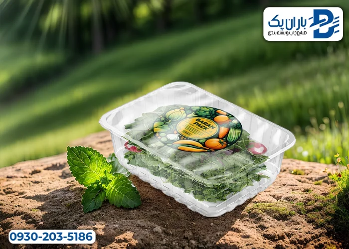 بسته بندی برای ماندگاری بیشتر سبزیجات
